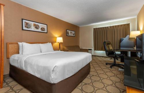 Brandon Hotel | Comfort Inn