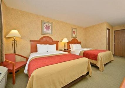 Ellsworth Hotel | Comfort Inn Ellsworth - Bar Harbor