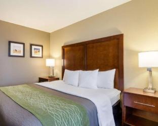 Garden City Hotel | Comfort Inn Garden City
