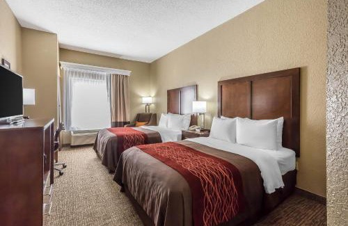 Tri-Cities Hotel | Comfort Inn Kingsport Southeast