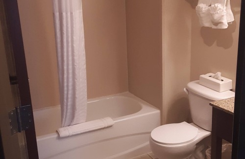Dumfries Hotel | Comfort Inn Near Quantico Main Gate North