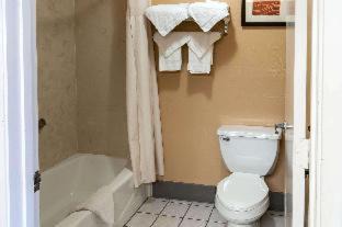 Conroe Hotel | Comfort Inn North Conroe