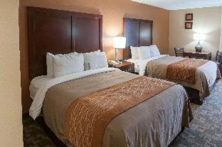 Conroe Hotel | Comfort Inn North Conroe