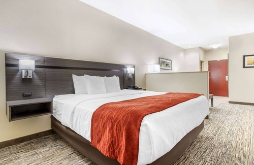 Orange Hotel | Comfort Inn Orange
