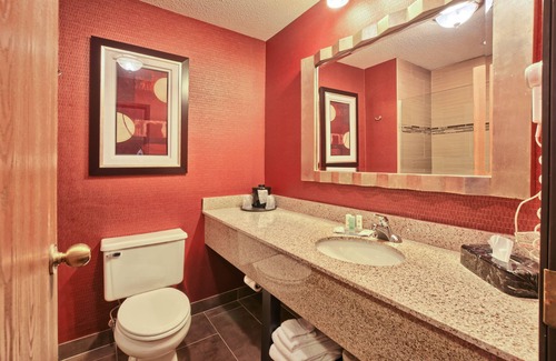 Mount Pleasant Hotel | Comfort Inn & Suites and Conference Center