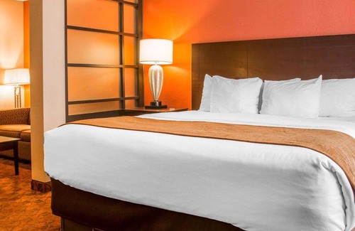 Mount Pleasant Hotel | Comfort Inn & Suites and Conference Center