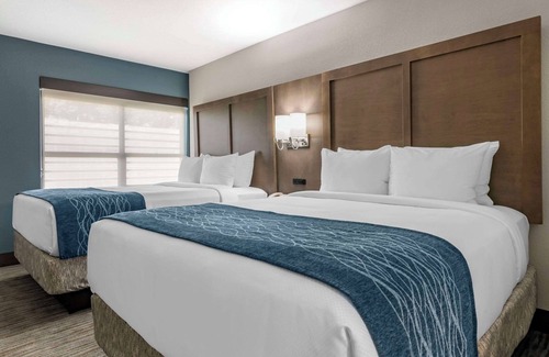 Downtown Miami Hotel | Comfort Inn & Suites Downtown Brickell - Port of Miami