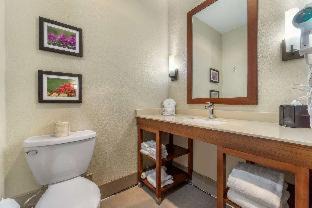 Lakewood Hotel | Comfort Inn & Suites Lakewood by JBLM
