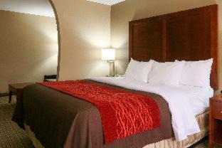 Leeds Hotel | Comfort Inn & Suites Leeds I-20