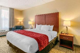 Franklin Hotel | Comfort Inn & Suites Nashville Franklin Cool Springs