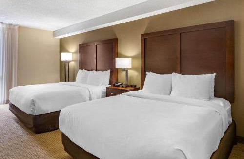 Danville Hotel | Comfort Inn & Suites near Danville Mall