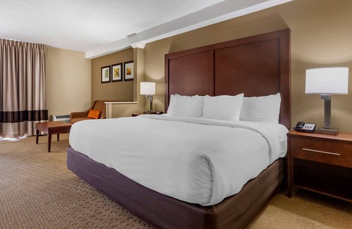 Danville Hotel | Comfort Inn & Suites near Danville Mall