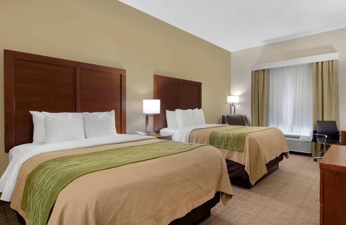 Port Arthur Hotel | Comfort Inn & Suites Port Arthur-Port Neches