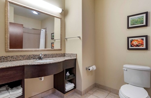 Scott Hotel | Comfort Inn & Suites Scott-West Lafayette