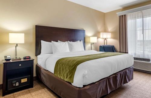 Scott Hotel | Comfort Inn & Suites Scott-West Lafayette