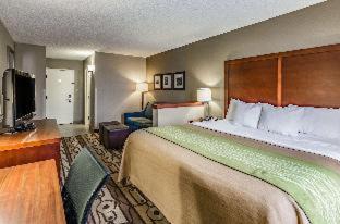 Staunton Hotel | Comfort Inn & Suites Staunton