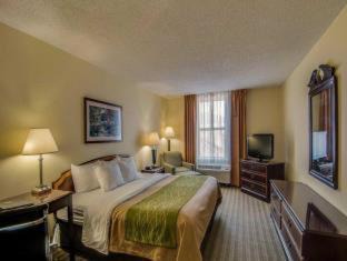 Staunton Hotel | Comfort Inn & Suites Staunton