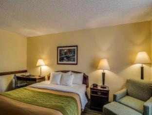 Staunton Hotel | Comfort Inn & Suites Staunton