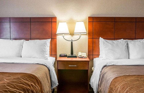 Bryant Pattengill East Hotel | Comfort Inn & Suites University South