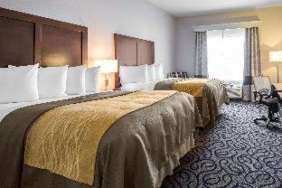 Lovington Hotel | Comfort Inn & Suites