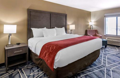 Lubbock Hotel | Comfort Inn & Suites