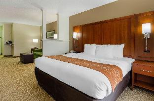 Abingdon Hotel | Comfort Suites Abingdon I-81