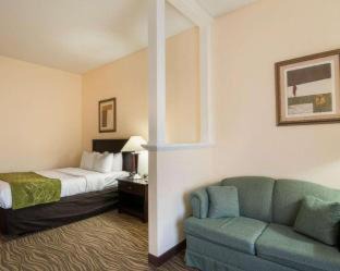 Abingdon Hotel | Comfort Suites Abingdon I-81