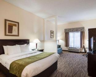 Abingdon Hotel | Comfort Suites Abingdon I-81