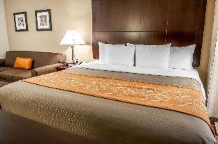 Northeast Heights Hotel | Comfort Suites Albuquerque-North Journal Center