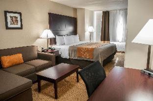 Northeast Heights Hotel | Comfort Suites Albuquerque-North Journal Center