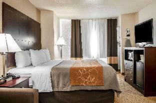 Northeast Heights Hotel | Comfort Suites Albuquerque-North Journal Center