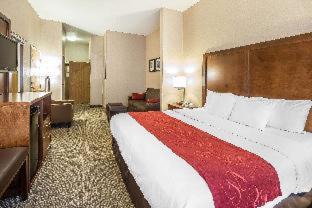 Spenard Hotel | Comfort Suites Anchorage International Airport