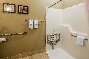 Spenard Hotel | Comfort Suites Anchorage International Airport