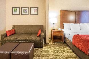 Spenard Hotel | Comfort Suites Anchorage International Airport