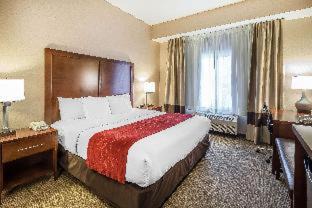 Spenard Hotel | Comfort Suites Anchorage International Airport