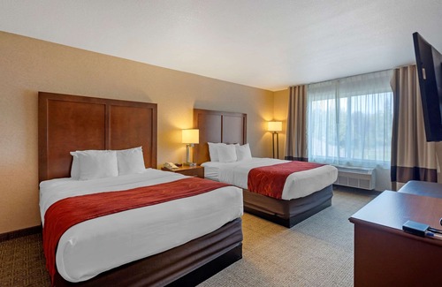 Spenard Hotel | Comfort Suites Anchorage International Airport