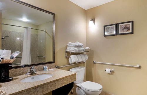 Spenard Hotel | Comfort Suites Anchorage International Airport