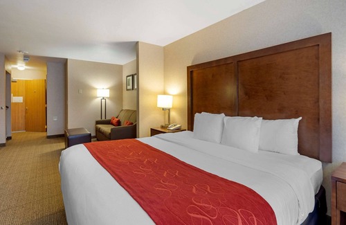 Spenard Hotel | Comfort Suites Anchorage International Airport