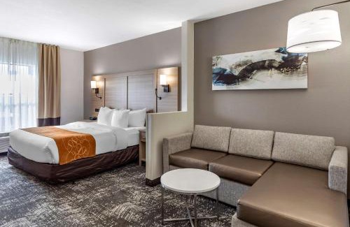 Anderson Hotel | Comfort Suites Anderson-Clemson