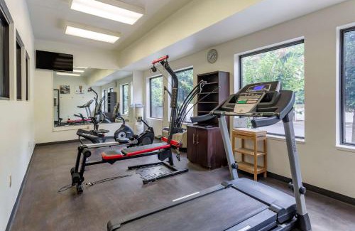 Ellendale Hotel | Comfort Suites Cordova