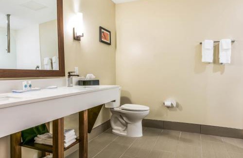 Florence Hotel | Comfort Suites Florence - Cincinnati South