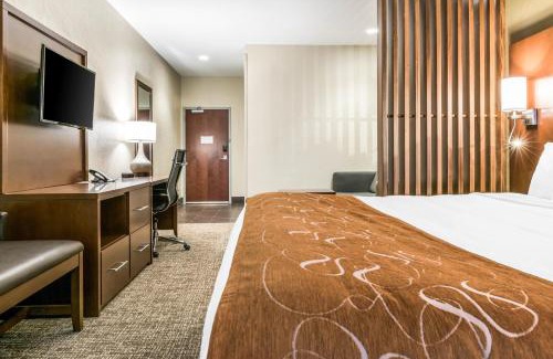 Florence Hotel | Comfort Suites Florence - Cincinnati South