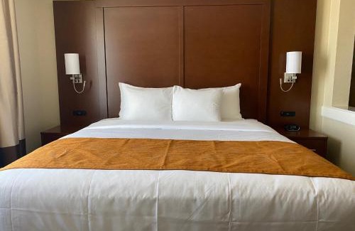 Midland Hotel | Comfort Suites Midland West