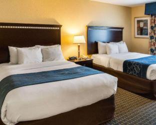 Nacogdoches Hotel | Comfort Suites Nacogdoches