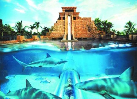 Paradise Island Hotel | Comfort Suites Paradise Island