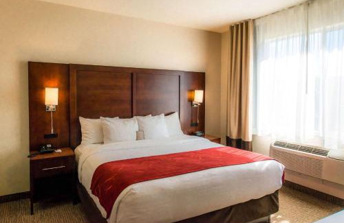Springfield Hotel | Comfort Suites Springfield-Eugene
