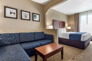Waco Hotel | Comfort Suites Waco Near University Area