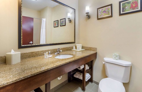 Wilson Hotel | Comfort Suites Wilson I-95