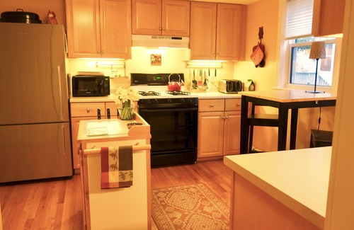 Arefth Condo | COMFORTABLE AND WELL-APPOINTED, BRIGHT AND SPACIOUS ON THE BOSTON-CAMBRIDGE LINE