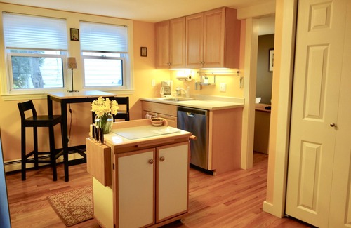 Arefth Condo | COMFORTABLE AND WELL-APPOINTED, BRIGHT AND SPACIOUS ON THE BOSTON-CAMBRIDGE LINE